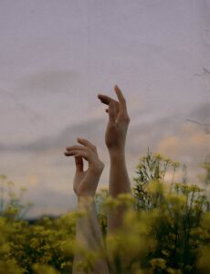 two hands of people laying on flowery meadow stretched out to sky