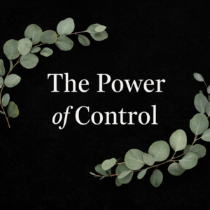 Guided Meditation Day 1