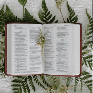 21-Day Guided Meditations for Anxiety